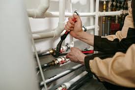 Best Plumbing System Maintenance  in Rice, MN